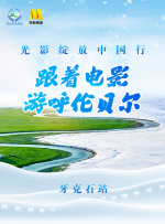 丁香花电影免费看电视剧