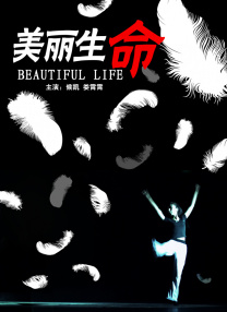 久久精品re