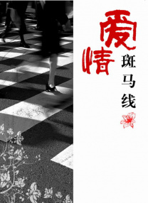 国内精品美女在线观看
