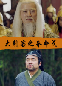 精品视频久久久久久久